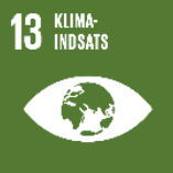 FN's 13